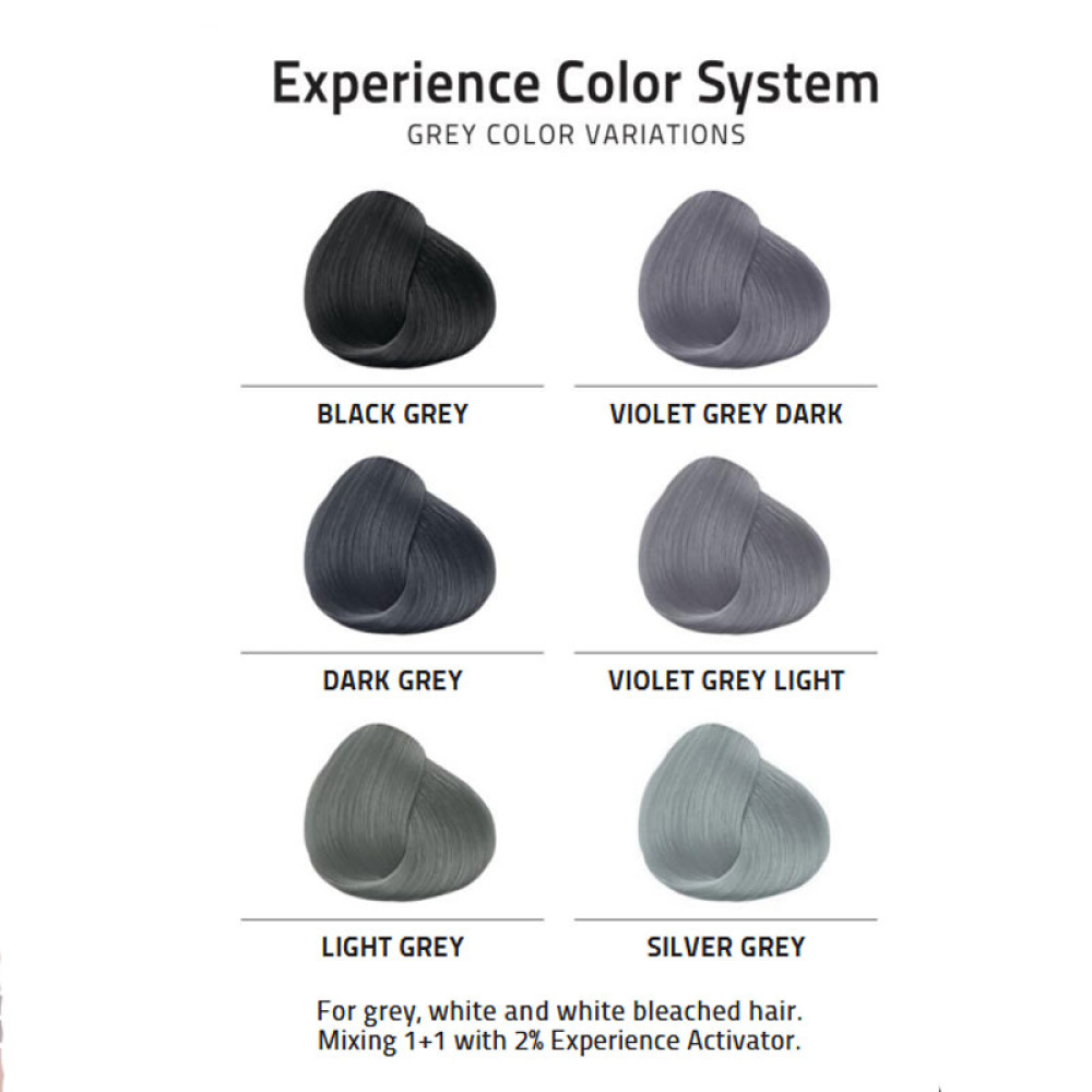 Hair Dye Experience Light Grey