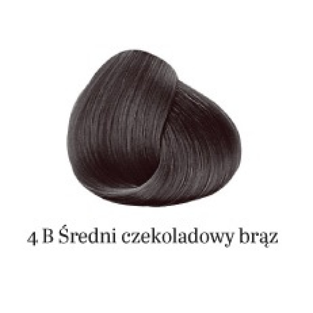 Hair Dye Experience nr. 4B